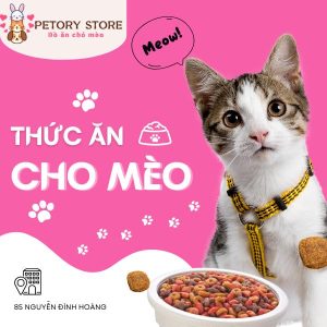 Thức ăn cho mèo