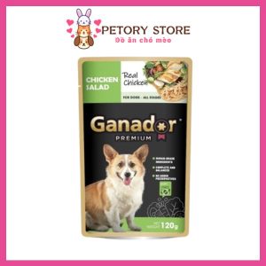 Pate cho chó Ganador dạng xốt 120g vị chicken salad