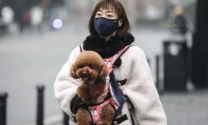 Cô gái chê quán chảnh